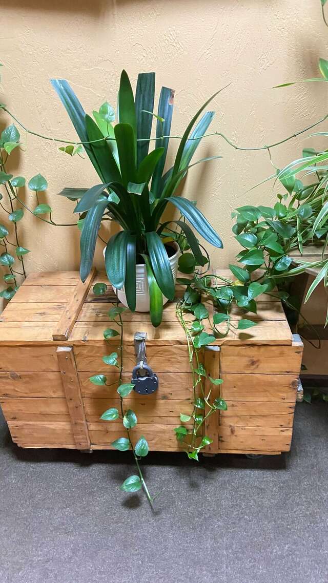 Гостиница Екатерингоф Санкт-Петербург-106